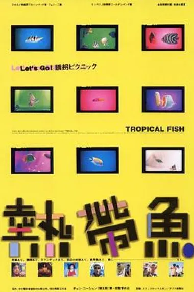 热带鱼 下载