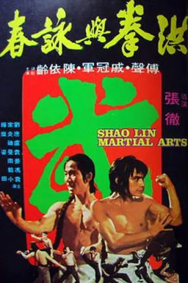 洪拳与咏春 下载