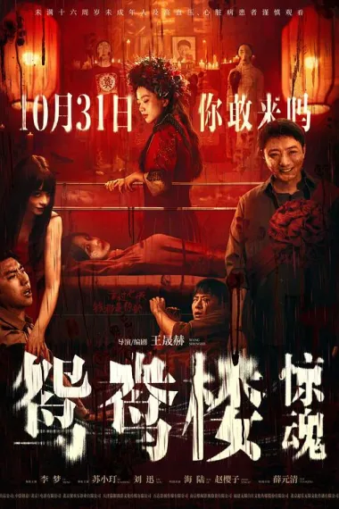 鸳鸯楼·惊魂 下载