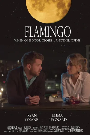 Flamingo 下载